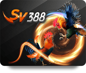 12BET Bóng Đá Pro: Cơ Hội Giành Thắng Lớn Mỗi Ngày